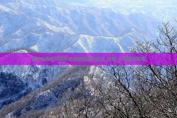 百色去西安陕西历史博物馆团体旅游