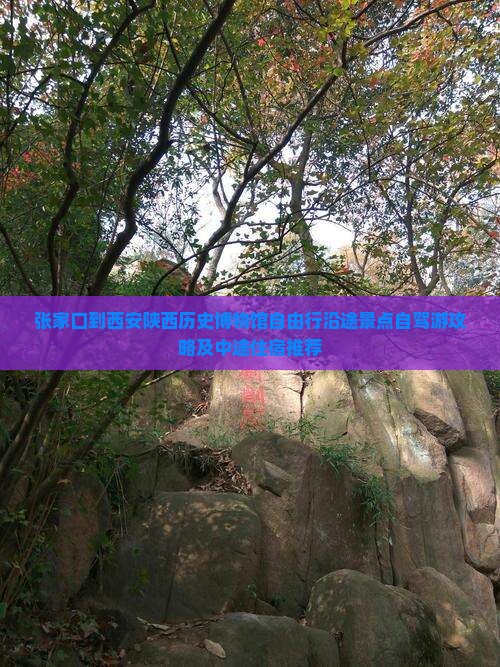 张家口到西安陕西历史博物馆自由行