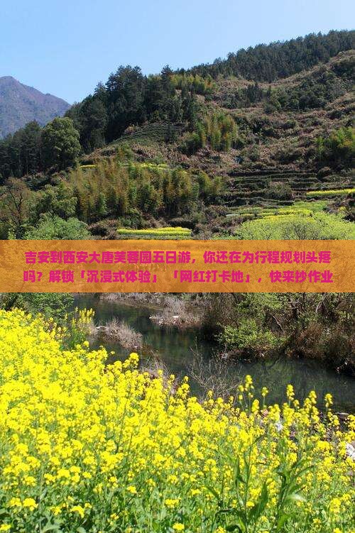 吉安到西安大唐芙蓉园五日游