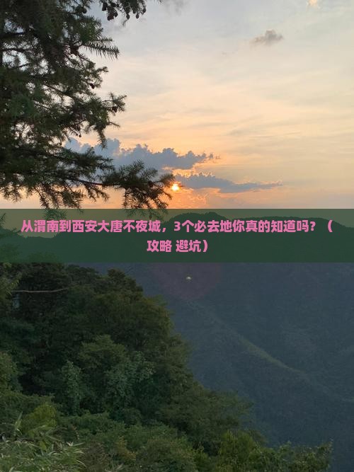 渭南去西安大唐不夜城必去地