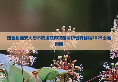 定西到西安大唐不夜城旅游