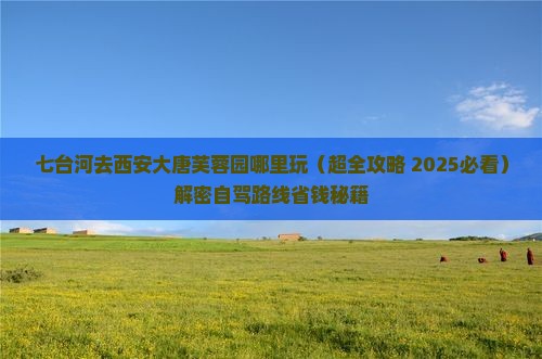 七台河去西安大唐芙蓉园哪里玩