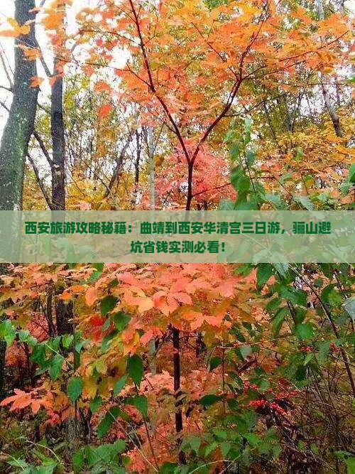 曲靖到西安华清宫三日游