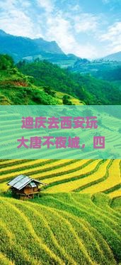 迪庆去西安大唐不夜城四日游
