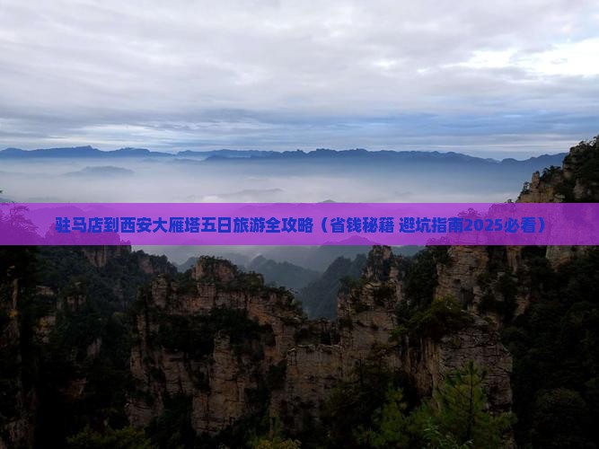 驻马店到西安大雁塔五日游