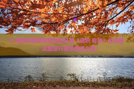 信阳去西安回民街四日游