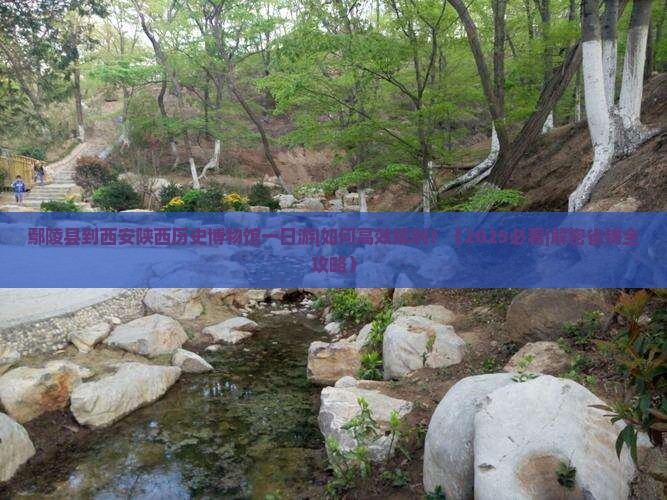 鄢陵县到西安陕西历史博物馆一日游