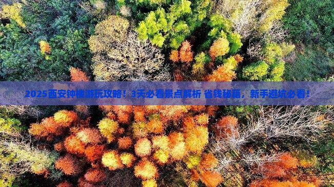 海东到西安钟楼哪里玩