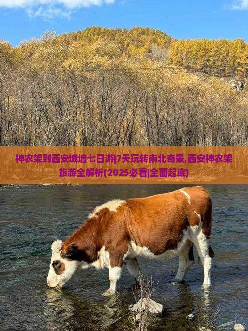 神农架到西安城墙七日游