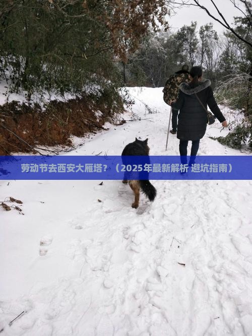 劳动节去西安大雁塔必去地