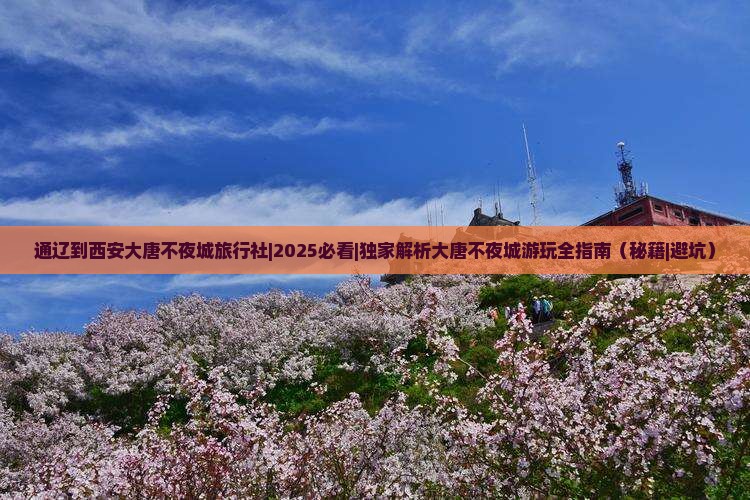 通辽到西安大唐不夜城旅行社