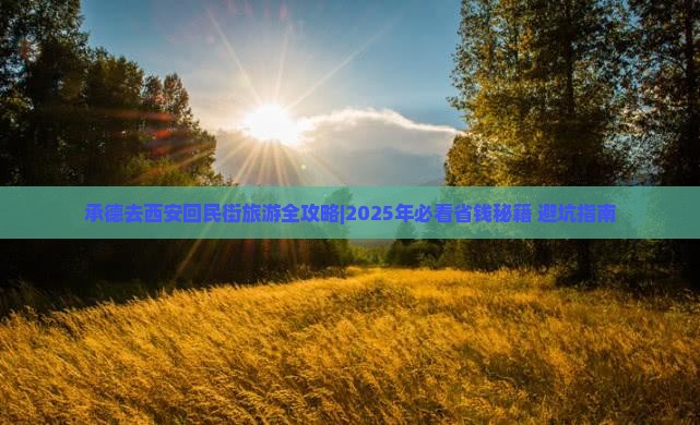 承德去西安回民街旅游