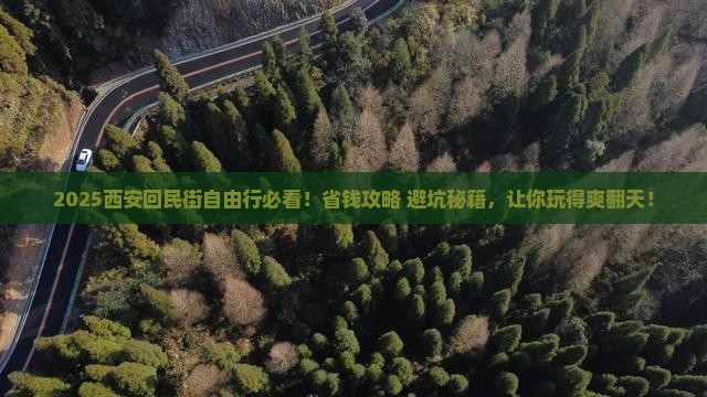 宁德去西安回民街自由行