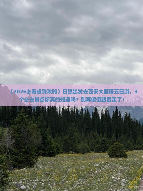 日照去西安大雁塔五日游