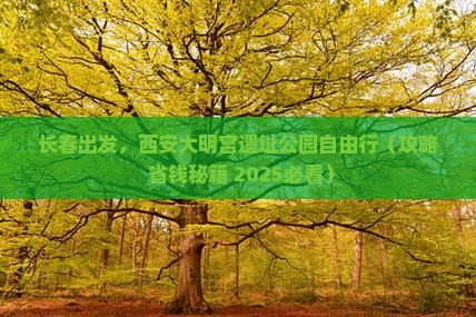 长春到西安大明宫国家遗址公园自由团