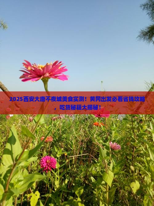 黄冈去西安大唐不夜城旅游小吃