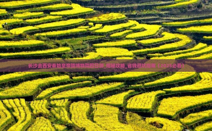 长沙去西安秦始皇帝陵博物院四日游