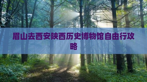 眉山去西安陕西历史博物馆自由行