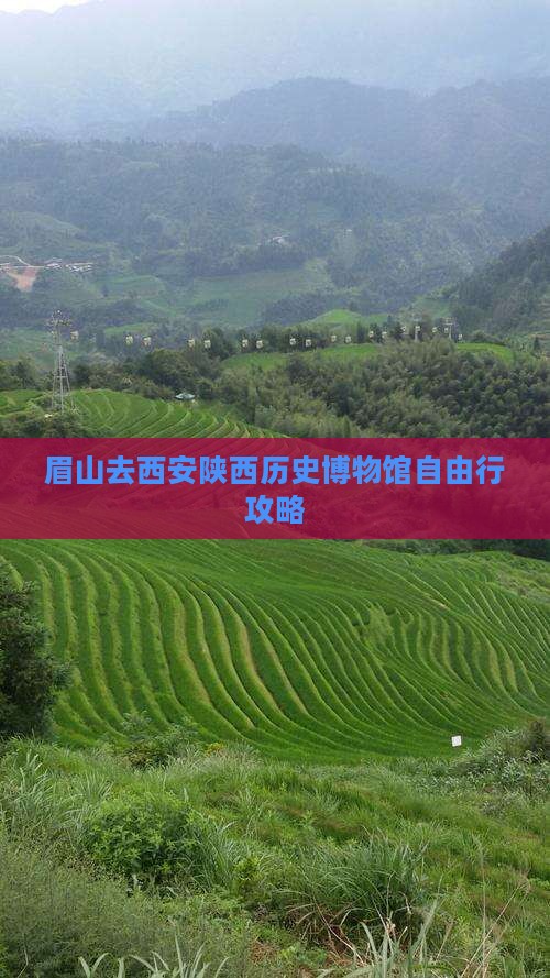 眉山去西安陕西历史博物馆自由行