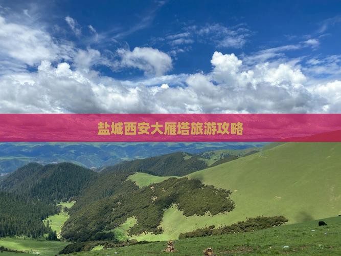 盐城到西安大雁塔自由团