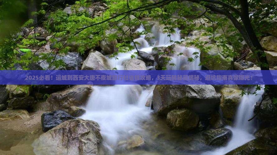 运城到西安大唐不夜城旅行社