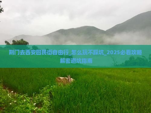 荆门去西安回民街自由行