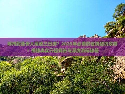 郴州到西安大雁塔三日游 郴州到西安大雁塔三日游
