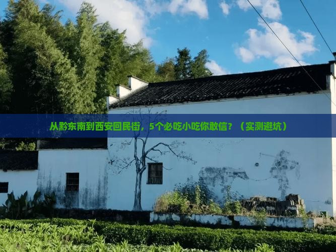 黔东南去西安回民街旅游小吃