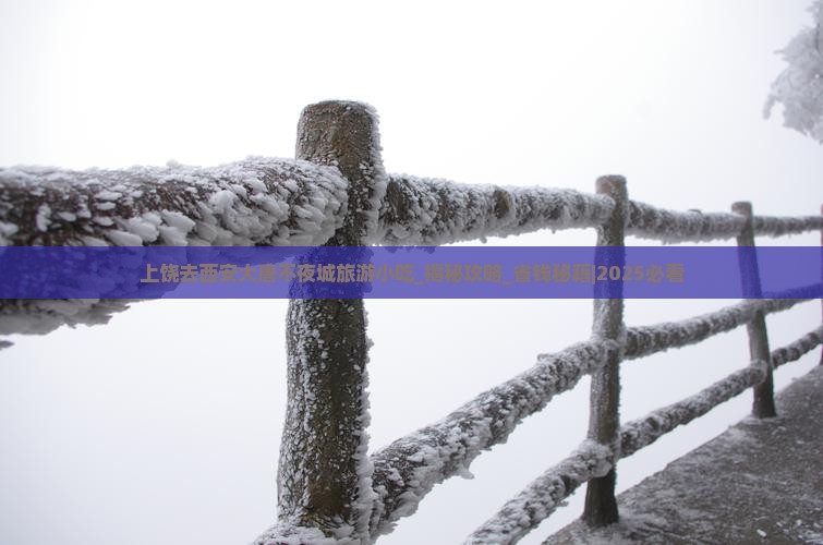 上饶去西安大唐不夜城旅游小吃