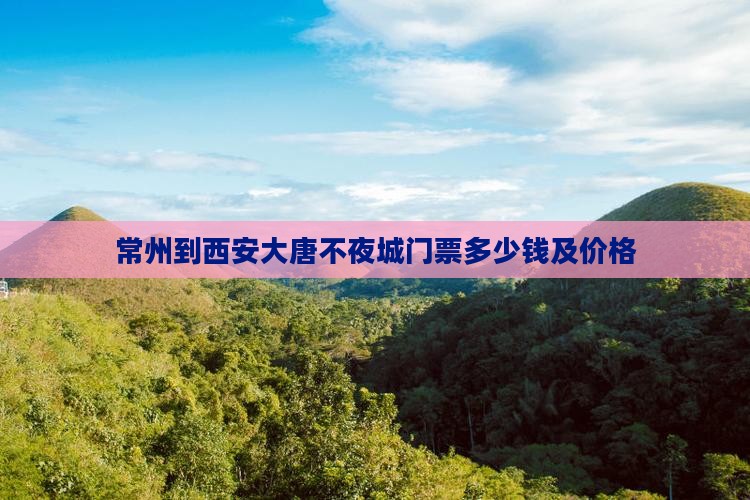 常州到西安大唐不夜城门票