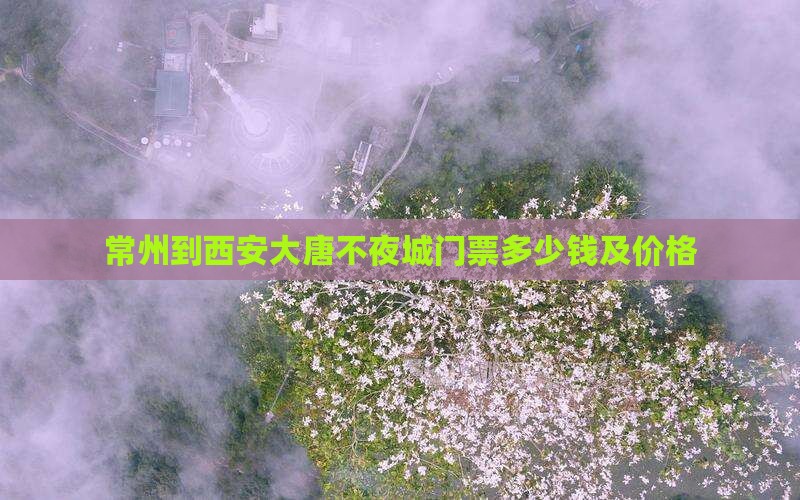 常州到西安大唐不夜城门票