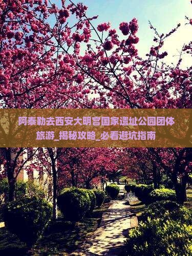 阿泰勒去西安大明宫国家遗址公园团体旅游