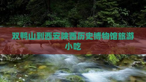 双鸭山到西安陕西历史博物馆旅游小吃