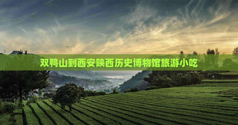 双鸭山到西安陕西历史博物馆旅游小吃