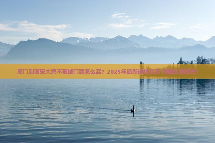 厦门到西安大唐不夜城门票