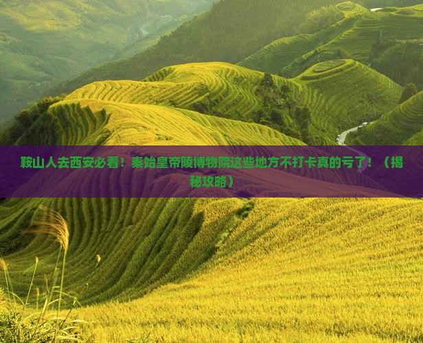 鞍山去西安秦始皇帝陵博物院必去地