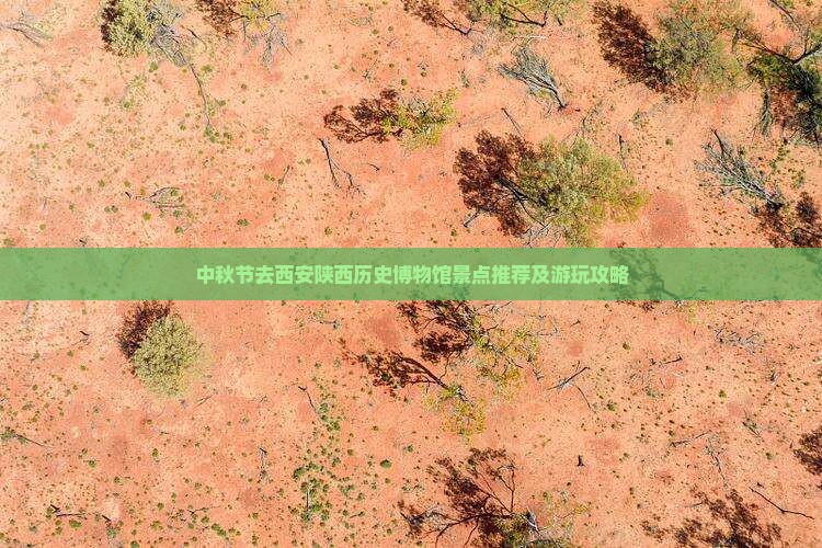 中秋节去西安陕西历史博物馆景点