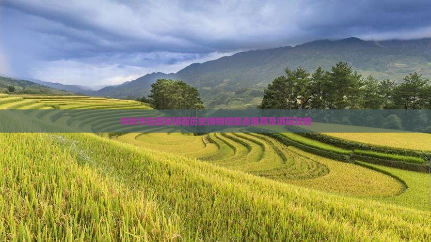 中秋节去西安陕西历史博物馆景点
