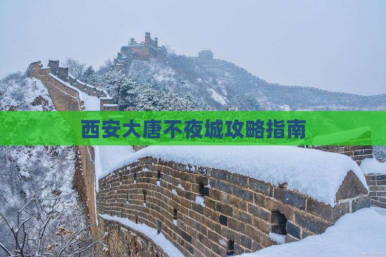 七台河去西安大唐不夜城攻略