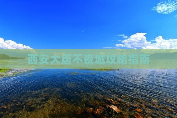 七台河去西安大唐不夜城攻略