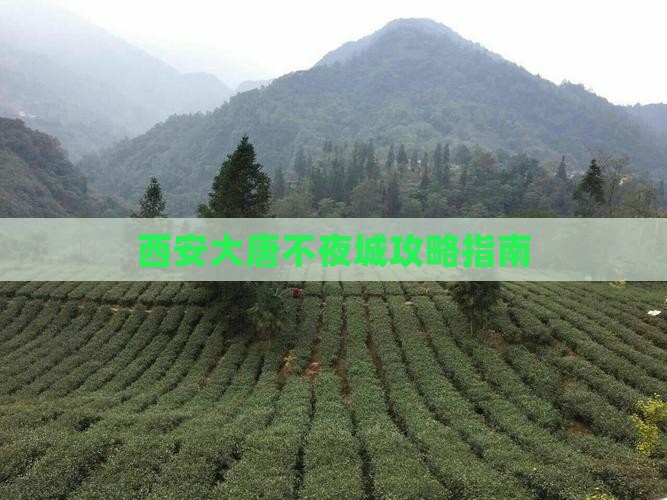 七台河去西安大唐不夜城攻略