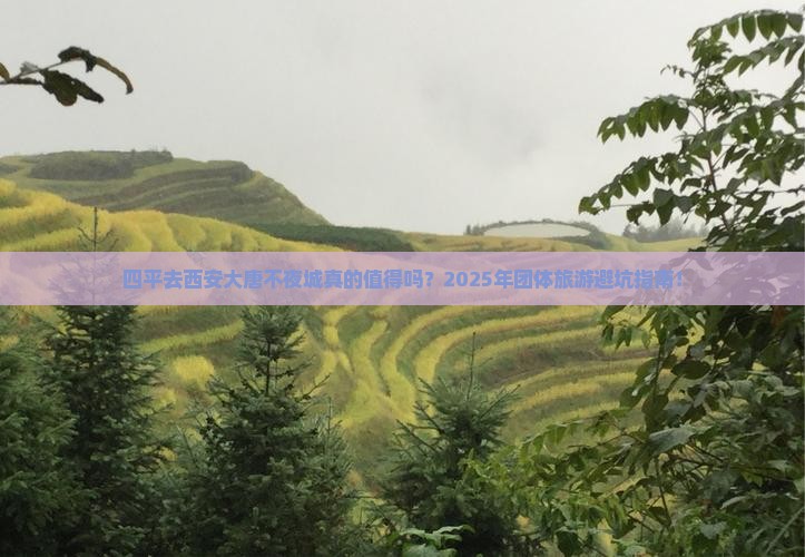 四平去西安大唐不夜城团体旅游