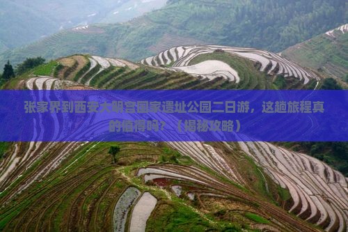 张家界到西安大明宫国家遗址公园二日游