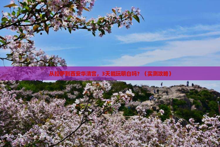 拉萨去西安华清宫个人游