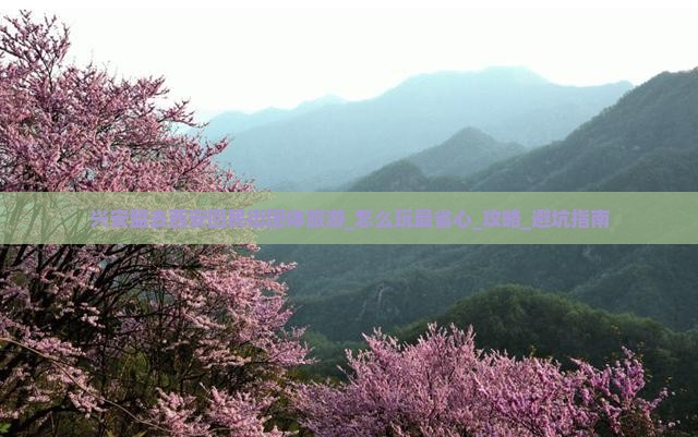 兴安盟去西安回民街团体旅游
