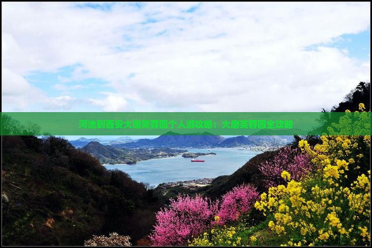 河池到西安大唐芙蓉园个人游