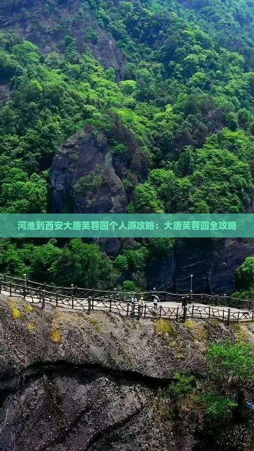 河池到西安大唐芙蓉园个人游