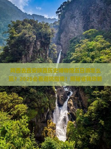 鸡西去西安陕西历史博物馆五日游