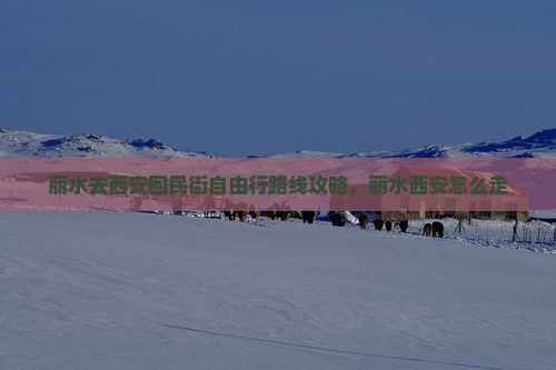 丽水去西安回民街自由行