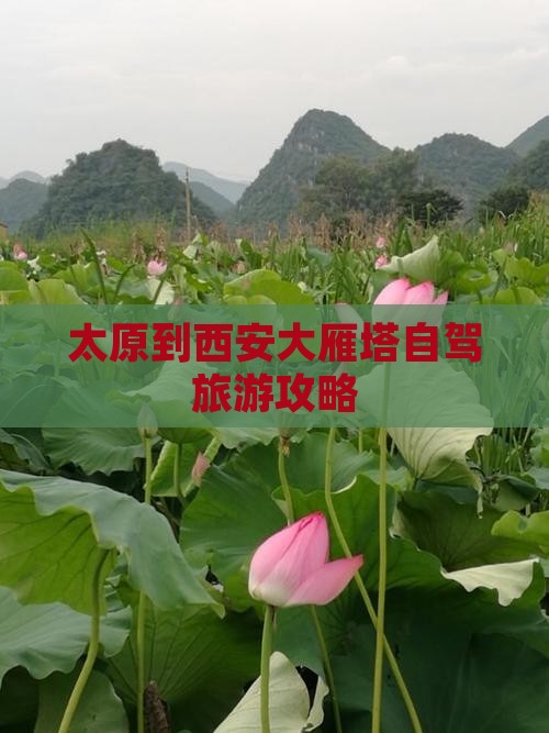 太原到西安大雁塔自由行